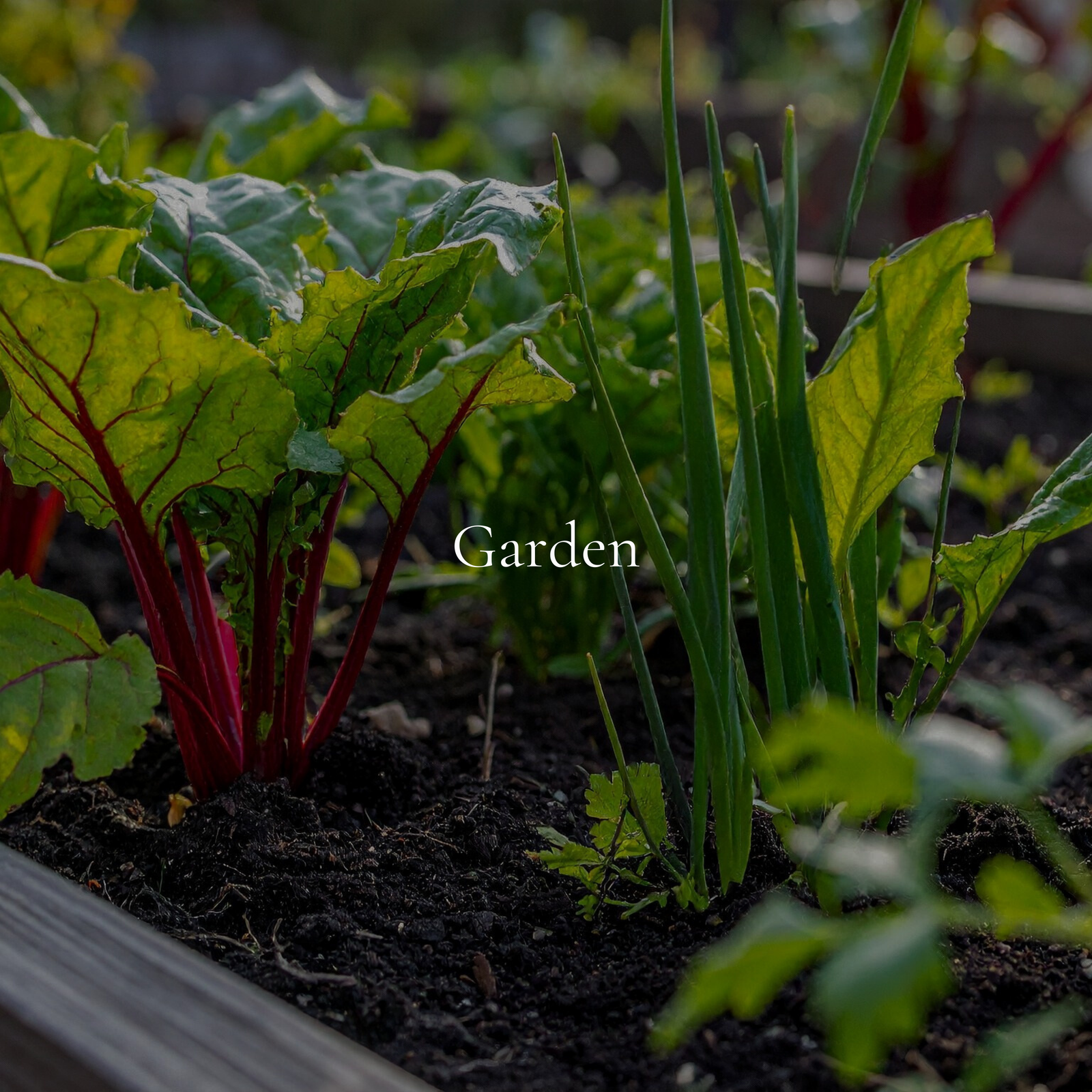 VYNCY Garden Collection | April