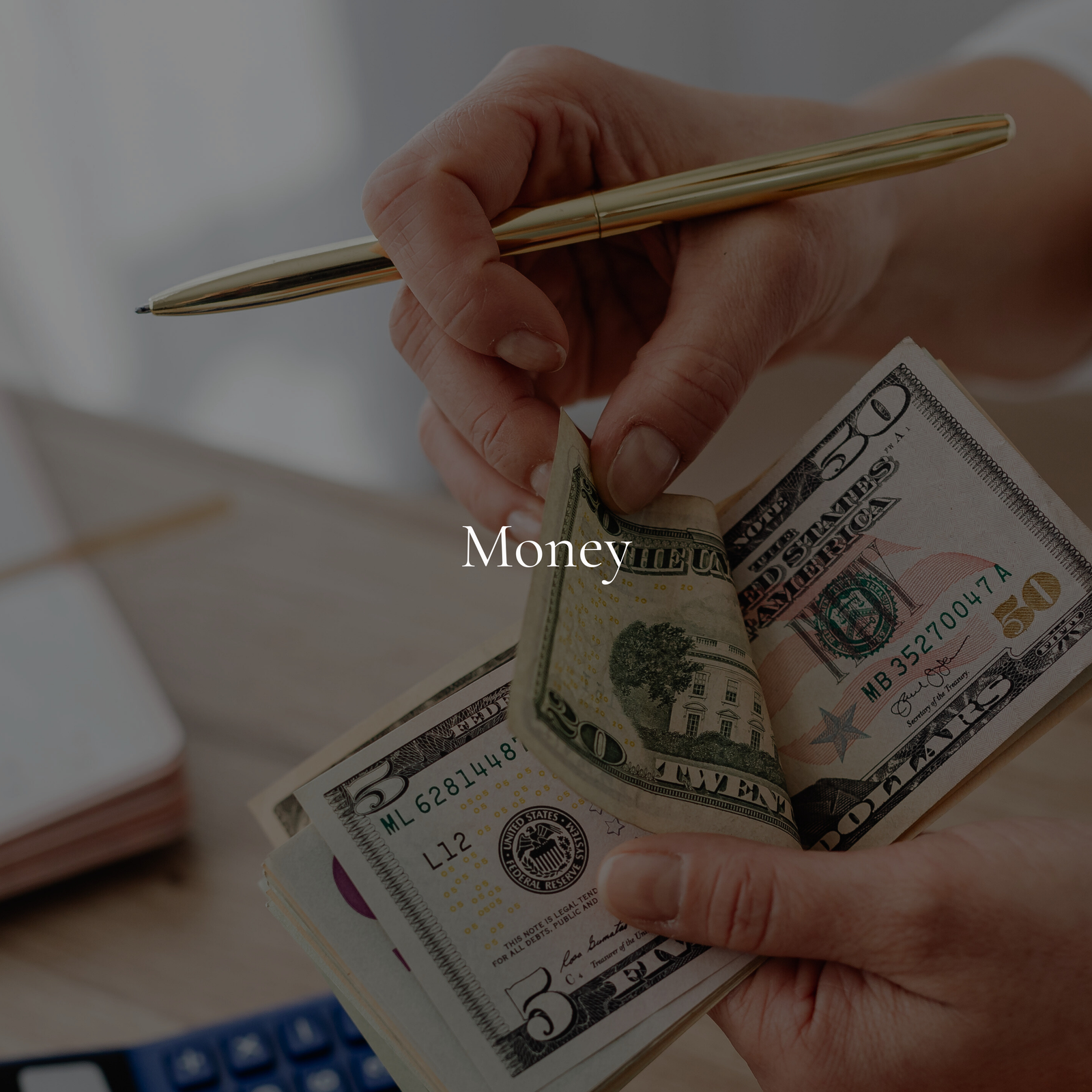 VYNCY Money & Budgeting Collection | February
