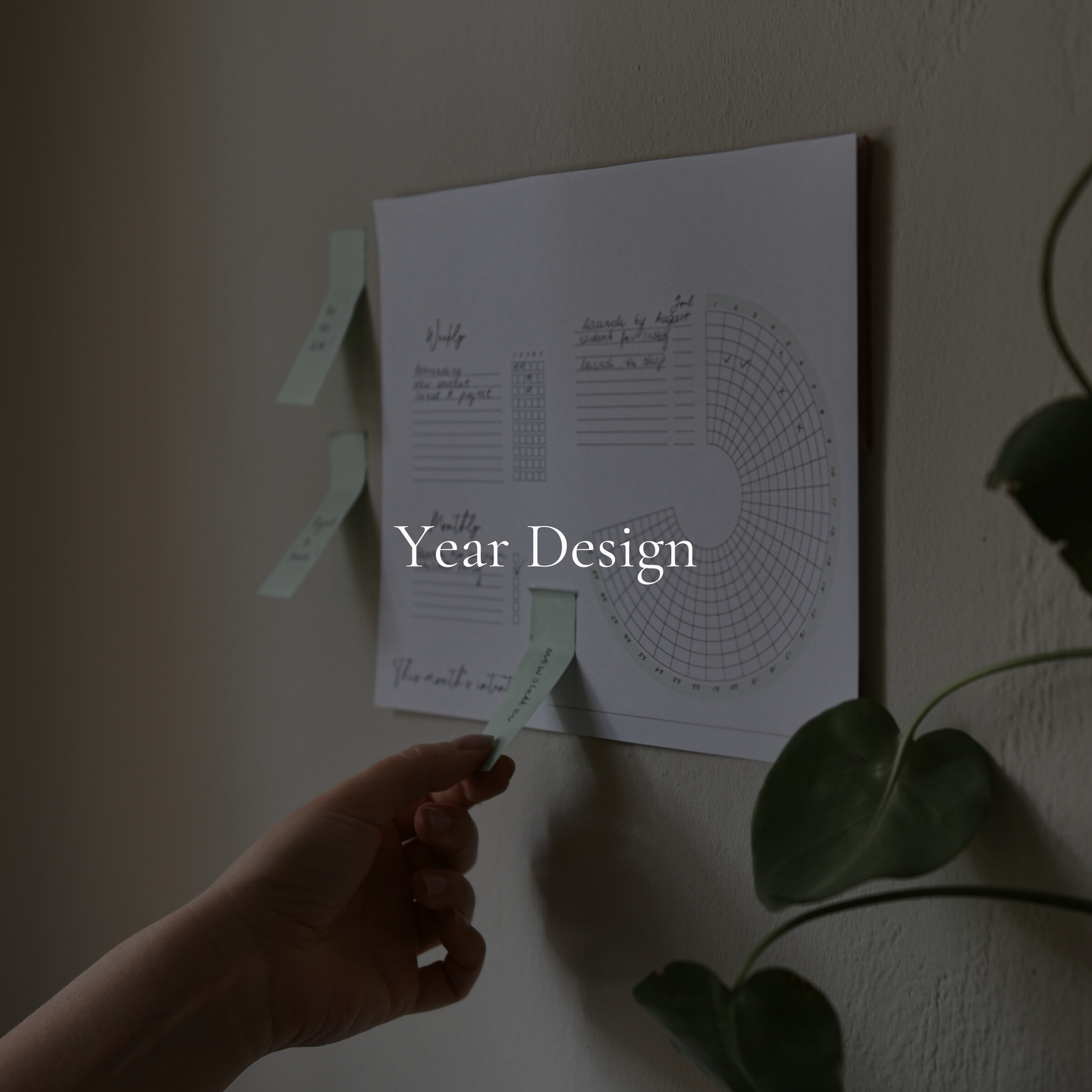 VYNCY Time & Year Design Collection | January