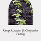 VYNCY Crop Rotation & Companion Planting (Printable)