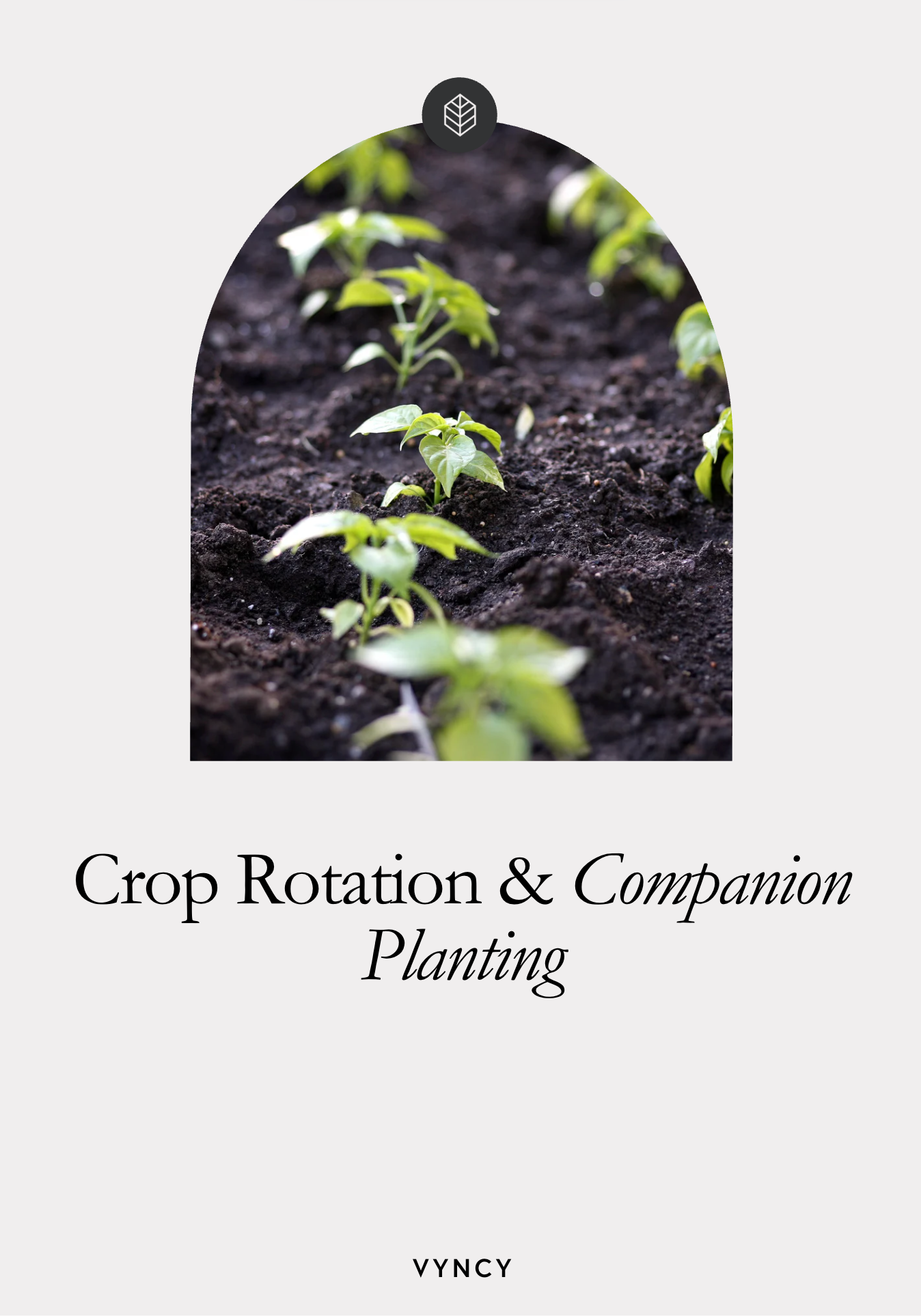VYNCY Crop Rotation & Companion Planting (Printable)