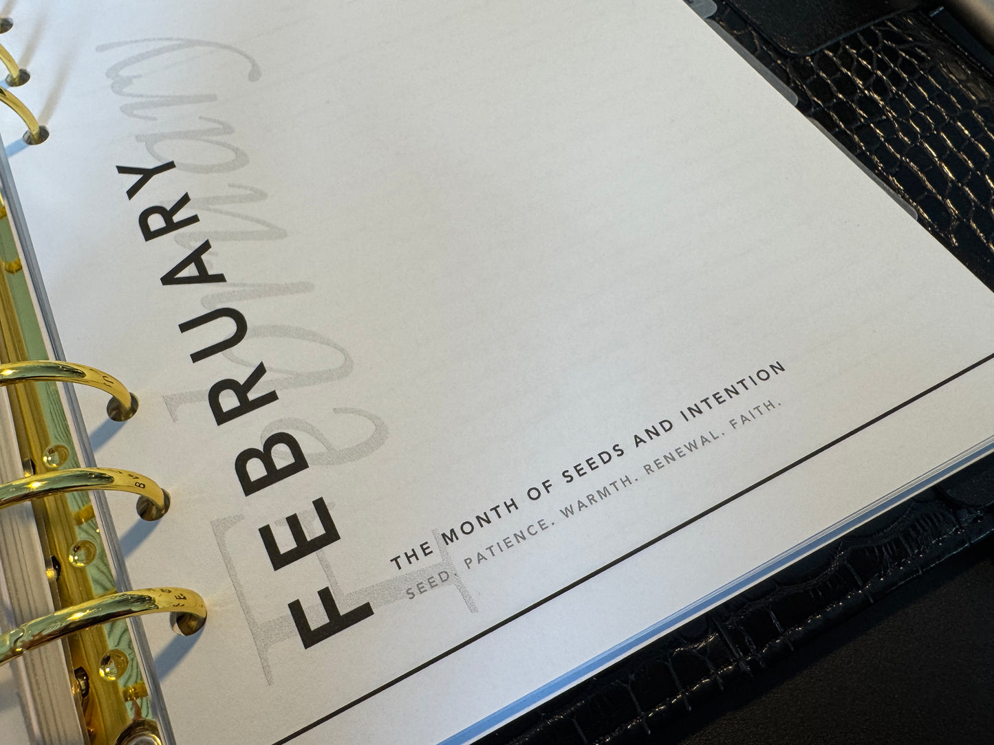 SOLD OUT! Dated Monthly Planner Inserts